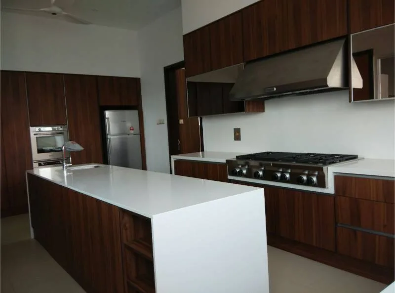 Modern minimalist kitchen with flat-panel cabinets