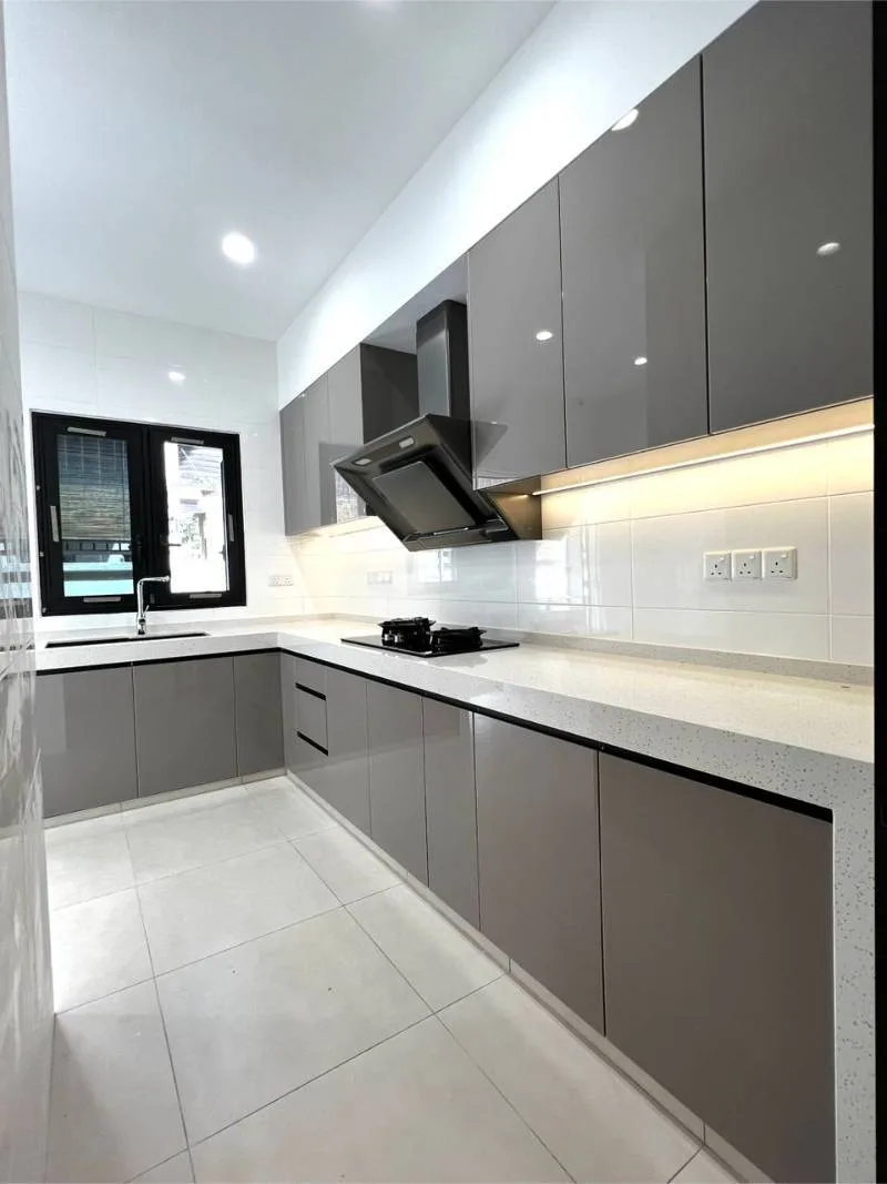 Modern kitchen with monochrome cabinet finish